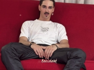 mariohawk Sexenmacht