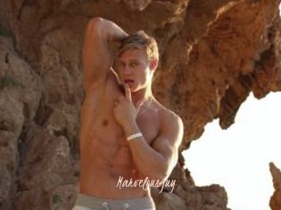 Marvelousguy