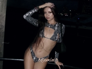 Melinamissile