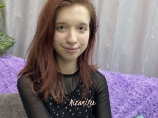 Minamiler