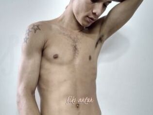 Niko_artur