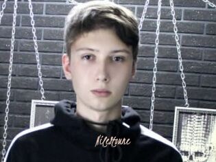 NileStoune