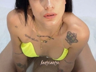 Nastscarter