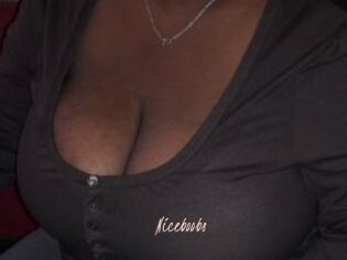 Niceboobs