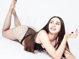 Oliviaflor