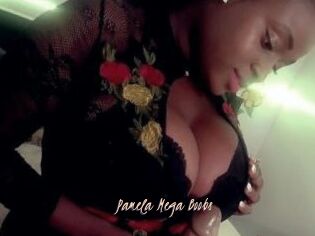Pamela_Mega_Boobs