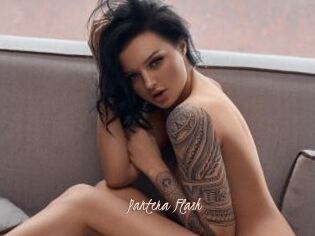 Pantera_Flash