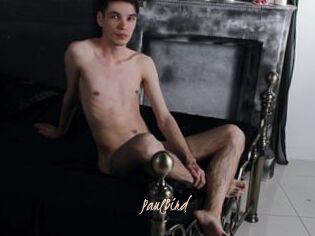 PaulBird