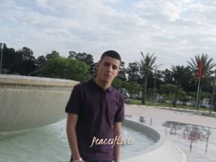 PeaceofLoves