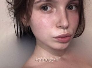 Pettitekitty1107