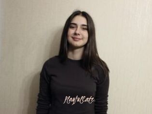 PlayfulCate