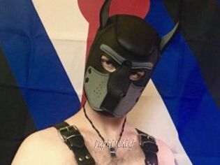 PupMischief