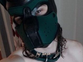 Pup_Samson