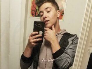 PvssyBoy