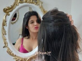 Palomasmitt