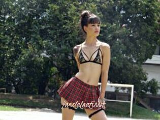 Pamelalaatinhot