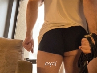 penyvik Sexenmacht