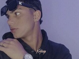 Pigboyx