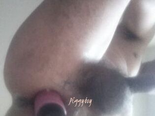 Piggyboy