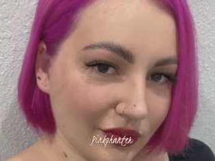 Pinkphanter