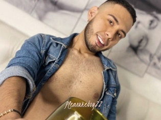 Pleasureboy22
