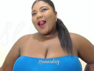 Pleasuredirty