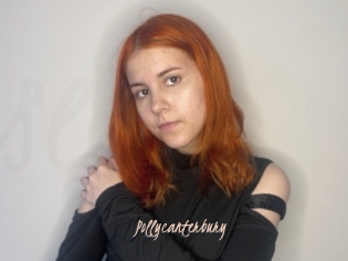 Pollycanterbury