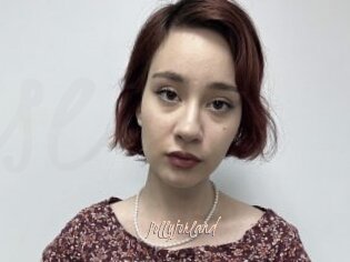Pollyforland