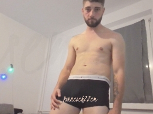 Porncock22cm