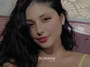 Prissmaggy
