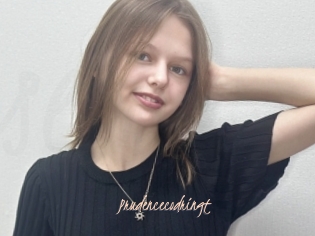 Prudencecodringt