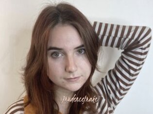 Prudencefrake