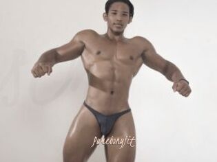 Pumebonyfit