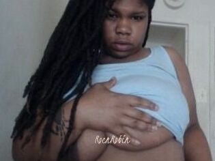 RocnRobin