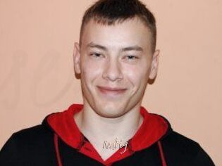 RodBig