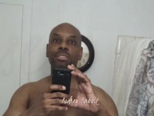 Rodney_Rabbit