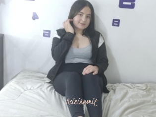 Reinirasmit