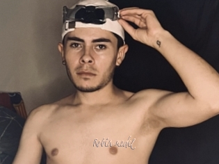 Robin_model