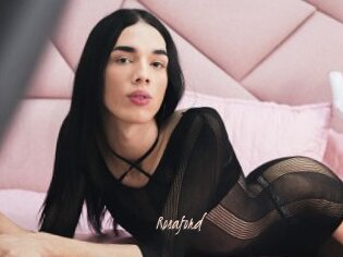 rosaford Sexenmacht