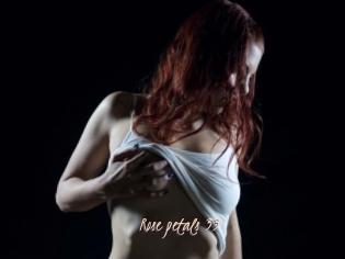 Rose_petals_33