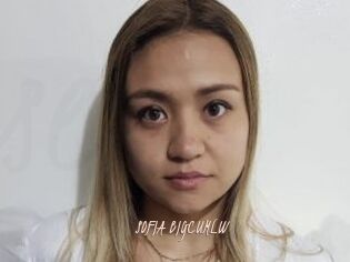 SOFIA_BIGCUMLW