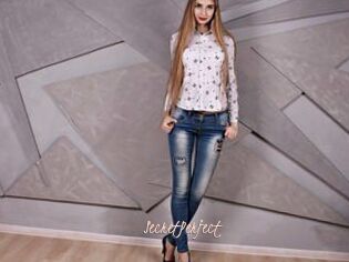 SecretPerfect