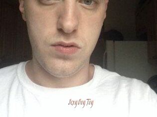 SexyBoyToy