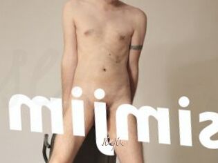 SimJim