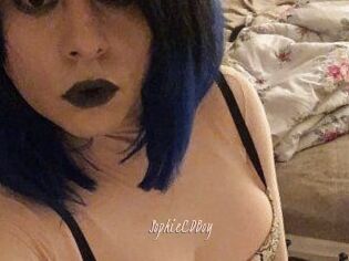 SophieCDBoy