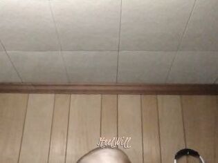 SteelWill