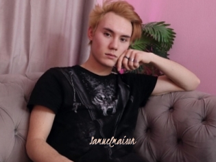 Samuelmaison