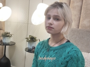 Sandyshayes
