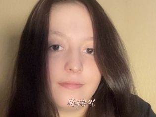 Shleystreel