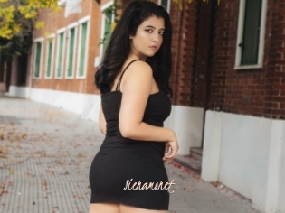 Sienamonet